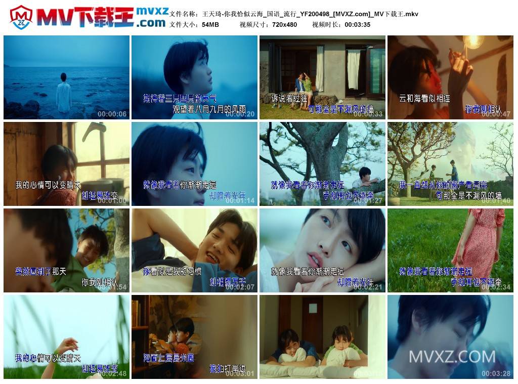 王天琦-你我恰似云海_国语_流行_YF200498